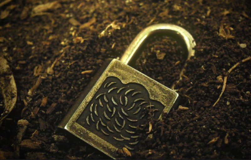 代币解锁如何影响价格？基于5000个项目的大数据分析 - 深潮TechFlow