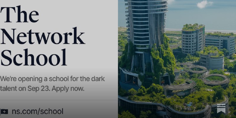 The Network School